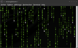 cmatrix screenshot