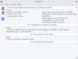 mediainfo-gui screenshot