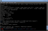 python-scapy screenshot