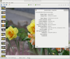 ristretto screenshot