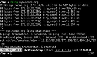 Ping utility to determine directional packet loss
