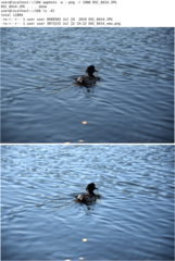 Auto Adjust Photo, automatic color correction of photos