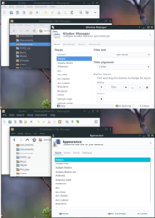 change to Theme "Adapta"+Style "Adapta"+Icons "Adwaita" (into XFCE)_1
