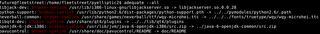 Debian package quality testing tool
