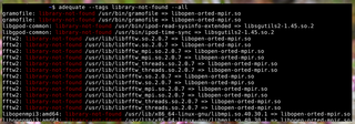 Debian package quality testing tool