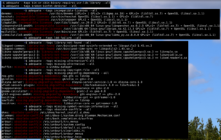 Debian package quality testing tool