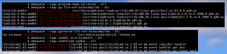 Debian package quality testing tool