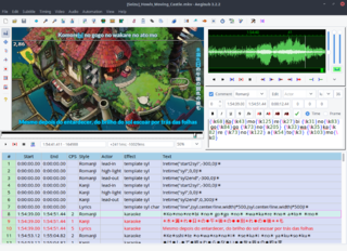 advanced subtitle editor