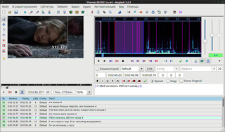 advanced subtitle editor