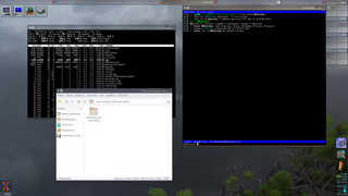 window manager with the NEXTSTEP look and feel