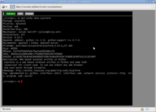 Web based terminal written in Python