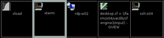 Default options, raw X11 session.