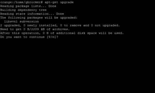 apt-get upgrade