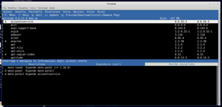 terminal-based package manager