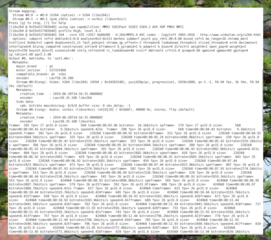 ffmpeg -i DSC_0716_bird.MOV out2.mkv (mov-to-mkv, 2 from6)