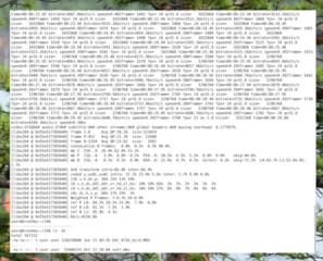 ffmpeg -i DSC_0716_bird.MOV out2.mkv (mov-to-mkv, 4 from6)