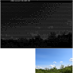 command line tool to turn images into ASCII art