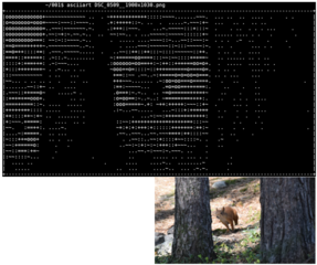 command line tool to turn images into ASCII art