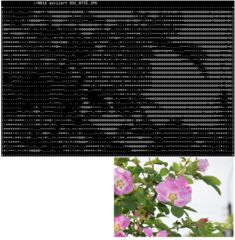 command line tool to turn images into ASCII art