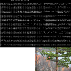 command line tool to turn images into ASCII art