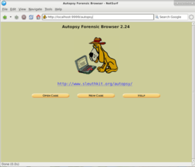 start NetSurf
