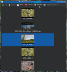 program to rename files to make them sort in given order