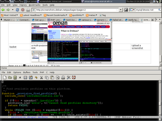 highly configurable X window manager