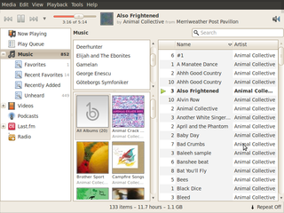 Banshee on Ubuntu 10.04 800x600 window