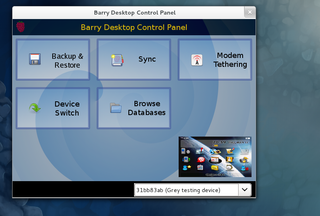 Desktop Panel GUI for the RIM BlackBerry Handheld