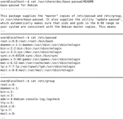 Debian base system master password and group files