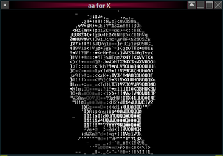 ASCII-art demo based on AAlib