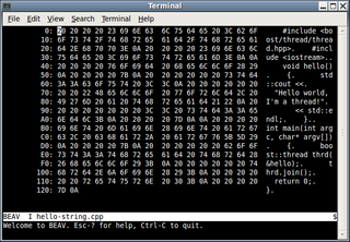 binary editor and viewer