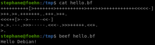 flexible Brainfuck interpreter