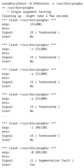 Brute Force Binary Tester