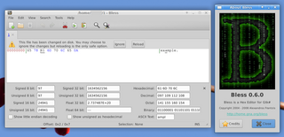 Full featured hexadecimal editor