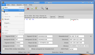 Full featured hexadecimal editor