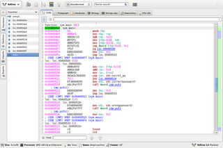 Code View (radare backend)