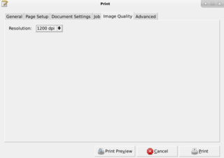virtual printer for viewing a document before printing