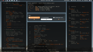 Custom partition layout.