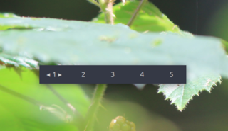 on demand display of workspaces - click to move the current window