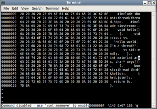 binary file editor