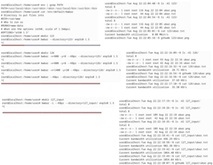 generates text and graphical readout of current bandwidth use