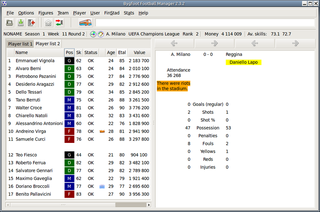 football (a.k.a soccer) management game