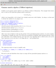 field-theory motivated computer algebra system