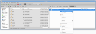 file manager for the MATE desktop
