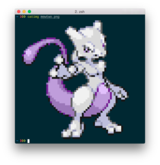 fast image printing in to your terminal