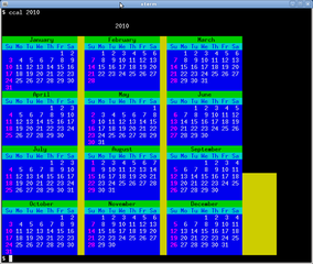 The year 2010 as presented by ccal