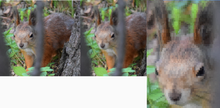 chafa -v DSC_0257.png