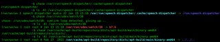 Follow a symlink and print out its target file