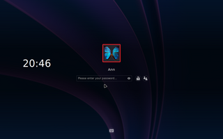 Cinnamon screen saver and locker